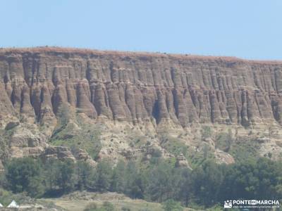 Comarca de Guadix y El Marquesado - Geoparque de Granada;hayedo tejera negra palacio de riofrio peña